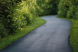 路,公園,自然
