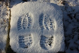 軌道,雪,走