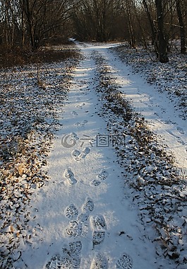 路徑,軌道,雪