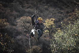 zipline,郵編,線