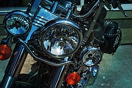 摩托車(chē),樣式,野生