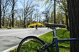 自行車,中央公園,騎
