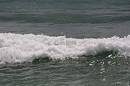 波浪,泡沫,冷