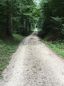 離,森林,性質(zhì)