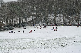 冬天,雪橇,人