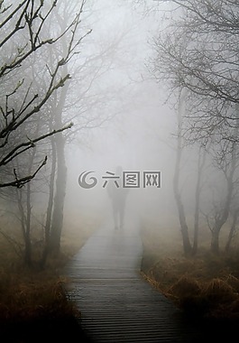 霧,秋季,性質(zhì)