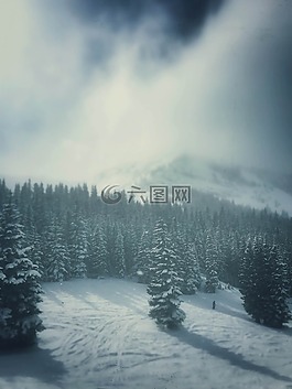 雪,綠色,天空
