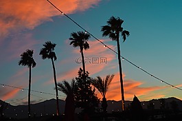 棕櫚泉,palmtrees,日落