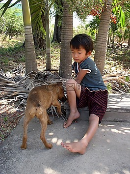 孩子,狗,飼料