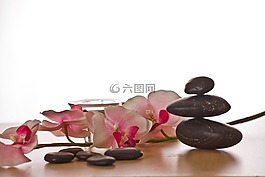 花,石,性质