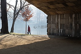孤獨,寂寞,老化