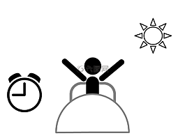 醒來(lái),上午,床