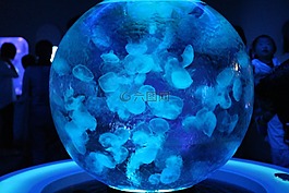 水族館,水母,海