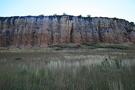 山,veld,自然
