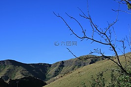 山,veld,自然