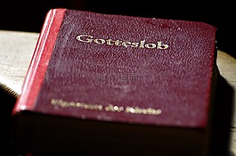 贊美詩,本書,信仰