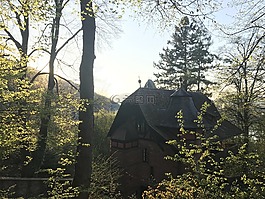 首頁,性質(zhì),景觀