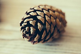 模糊,特寫(xiě),重點(diǎn)