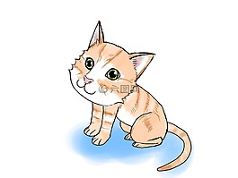 可爱,动物,猫咪