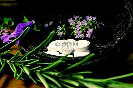 schuessler,礦物質,替代藥物