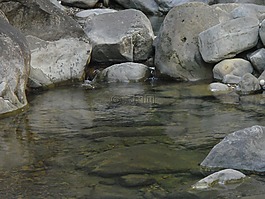 溪,自然,山