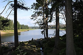 水庫(kù),樹(shù)脂,水