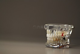 牙科,dentals,牙齒