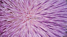 壁紙,封面照片,設計