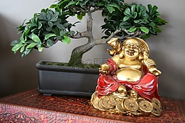 風(fēng)水,運(yùn)氣,中國