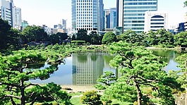 日本,公園,花園