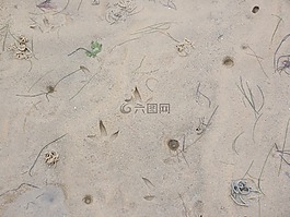 軌道在北海,瓦登海,痕跡