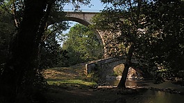 橋,光,河