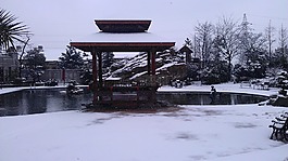 雪中,小屋,美景