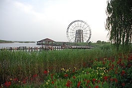 風(fēng)車,湖邊,蘆葦