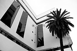 酒店,建設,棕櫚