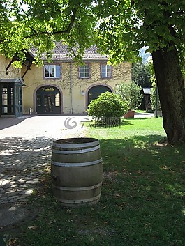 weinhof,酒廠,桶