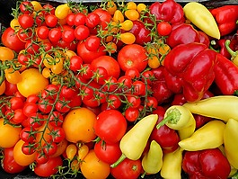 西紅柿,辣椒,蔬菜