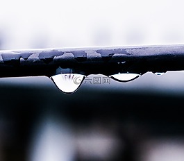 露水,滴,水