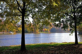 湖,城堡公园,herbstimpression