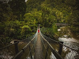 橋,秋千橋,人
