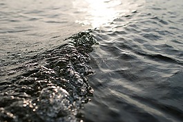 海灘,模糊,特寫