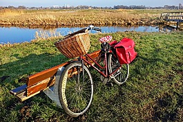 自行車,車輛,交通