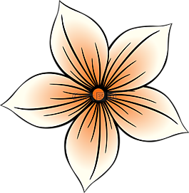 大自然,花,装饰