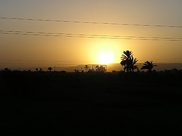 埃及,日落,景觀