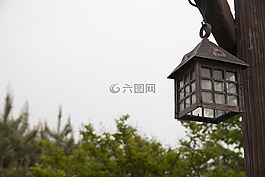 光,公園,森林
