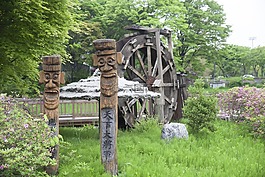 公園,景觀,大自然