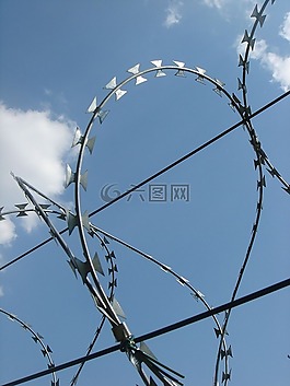 线,篱笆,刺