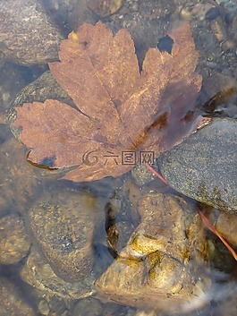 河,水,片