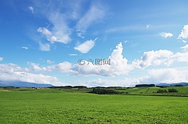 地球,自然,美瑛