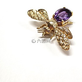 昆蟲,飛,蜜蜂